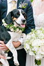 Rustic + Elegant Fat Cat Farm Wedding Gallery - Style Me Pretty : Explore millions of stunning wedding images to help inspire and plan your perfect day.