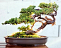 (1253) Pinterest