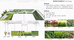 纯粹happy99采集到植物景观2023