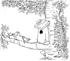 歆然2013采集到插画