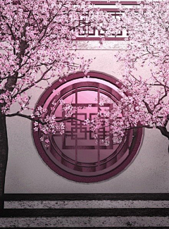 相思亦回眸采集到旅行