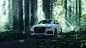 Audi Q3 in a Redwood Forest : Audi Q3 in a Redwood Forest. Photographed for Audi USA social media channels.