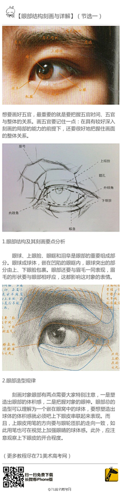 kirope1采集到人体参考