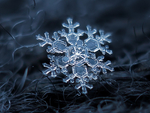 Snowflake 雪花、雪晶摄影 by...