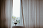 window curtains plant vase decor bedroom sleep 