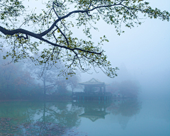 沉冷的木头采集到节气