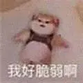 表情包 (274)