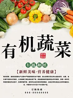有机蔬菜  - 源文件下载【酷图网】蔬菜海报,蔬菜展板,蔬菜,新鲜蔬菜,菜店海报,蔬菜基地,新鲜食材,菜市场海报,蔬菜店海报,果蔬配送,有机蔬菜,蔬菜广告,蔬菜配送,蔬菜店,果蔬店,蔬菜创意,蔬菜店展架,蔬菜挂画,蔬菜包装,农产品,蔬菜超市,蔬菜市场,绿色蔬菜,蔬菜种植,蔬菜店展板,餐厅海报,食堂文化,超市海报,超市蔬菜区,蔬菜展架