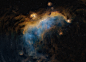 Seagull nebula by Vikas Chander : Browse 200,000 curated photos from photographers all over the world