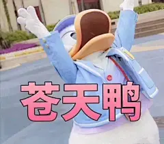 大家来分享一波最近爱用的表情包吧！！！！！ ​​​​