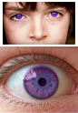 世界上只有600多人拥有的天然紫色瞳孔！这种紫色的眼睛来自于亚历亚山德勒起源，是一种特别的欧亚混血，简直美哭........