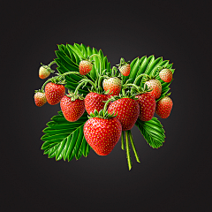 嘿逃皇后采集到fruit