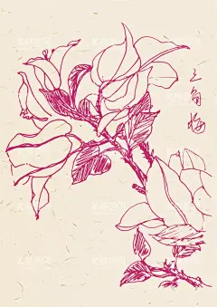 手绘三角梅  - 源文件下载【酷图网】花,花草,植物,植物花草,三角梅,手绘,手绘花草,手绘三角梅,手绘植物,卡通植物,速写,速写植物,速写三角梅