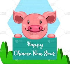 春节,猪,快乐,白色,可爱的,传统,动物,拿着,许愿,问候