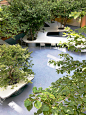 上海市实验学校中心庭院改造-树桌花园