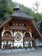 Black Forest, Germany - Life-size working cockcoo clock