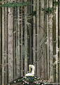 Kay Nielsen 日之东，月之西 /East of the ... 来自春浓满楼情痴狂 - 微博