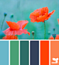 Design Seeds® | find your palette