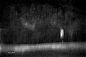 Tracy Linne l 纯而冷的灰色光景 - 当代艺术 - CNU视觉联盟
