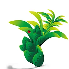 植物