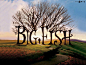 Big Fish