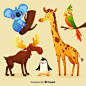 Cute animal collection from different environmental