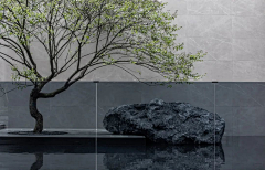 zttalto采集到zhi'wu