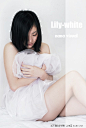 lily white照片-lily white图片-lily white素材