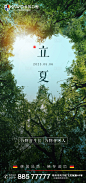 立夏海报-源文件