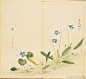 日本画册《诗经名物图解》节选[心]