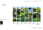 海南中信泰富神州半岛景观设计方案文本-线计网
