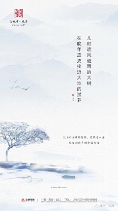 阿米头发采集到anbeer-------山景