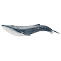 德国思乐SCHLEICH动物模型 S14696 蓝鲸 原创 设计 新款 2013 正品 代购  淘宝