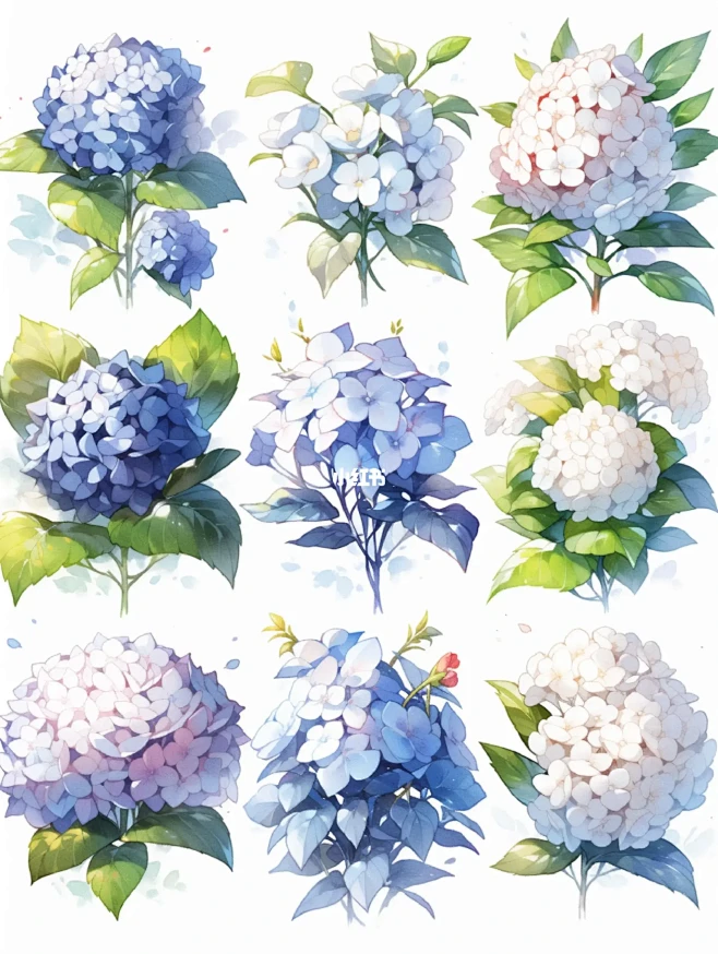 花卉篇2⃣ | 绣球花开，层层叠叠的浪漫