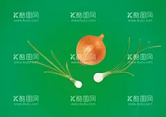 矢量手绘洋葱  - 源文件下载【酷图网】洋葱,矢量手绘洋葱,黄色洋葱,蒜苗,大蒜,青菜,蔬菜插画,蔬菜,矢量蔬菜,绿色果蔬,新鲜蔬菜,