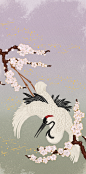 Japanese Crane : Japanese CraneInspired by Japanese Woodblock Prints (Ukiyo-e) and Kimono patterns mixing with new digital illustration.Chinese ink and Photoshop2014