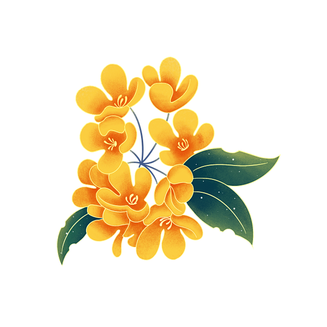 桂花