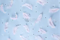 白色羽毛和银色五彩纸屑在蓝色背景。柔软的质地细腻。时尚豪华的模式。平躺，俯视图