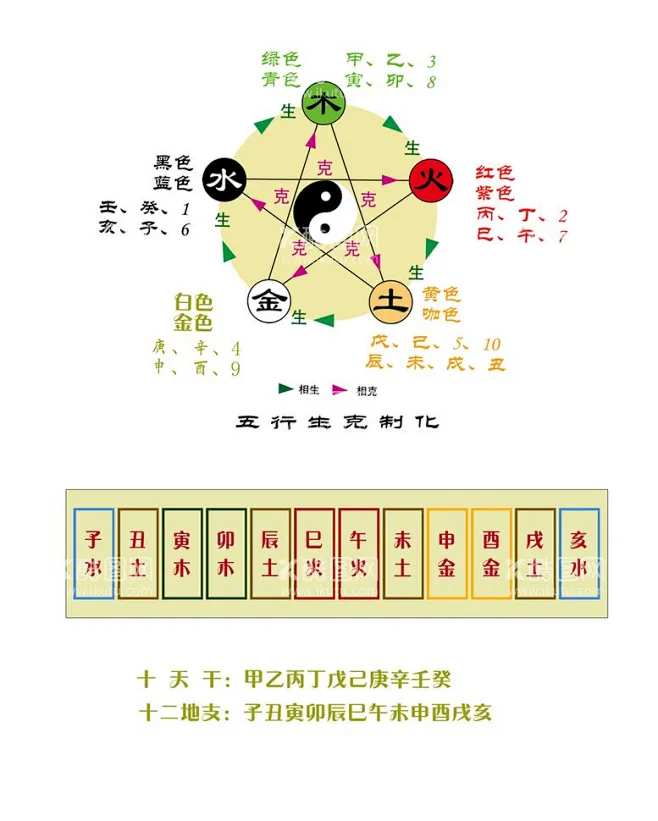 天干地支 五行生克 数字五行 - 源文件下载【酷图网】天干地支,五行生克,数字五行,干支五行,十二地支,十天干,-花瓣网