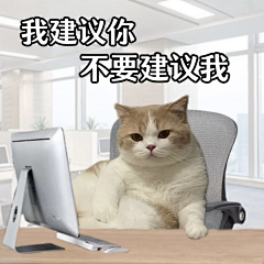 糖果NO草莓味采集到摄影+头像