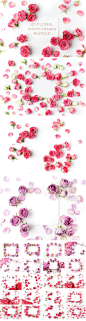 情人节必备的极品玫瑰花高清素材打包[高清图,广告图框架] #素材# #情人节#