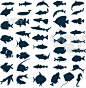 fish-icon-1375038.jpg (1185×1210)