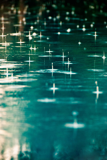 烂漫的雨滴｜ 摄影师：Bator Hor...