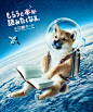 Astronaut Shiba Inu: 