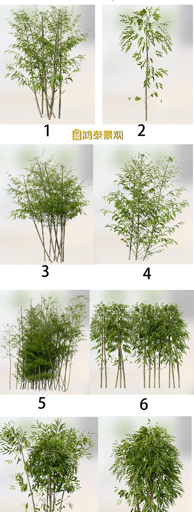 景观PS竹子平面立面分层植物素材剖面图效果图竹子高清PSD素材-淘宝网