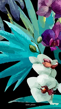 #扁平# #生活# #iphone# #手机# #life# #几何# #壁纸# #色彩# #黑白# #点线面# #白# #黑# #森林# #热带植物# #iPhone7# #安卓# #龟背竹#