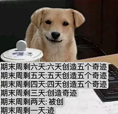 我是不会放弃收集这种表情包的 - 小红书