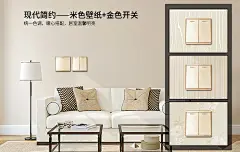 米黄壁纸+金色开关