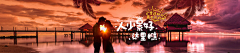 Anthea_ZRL采集到banner