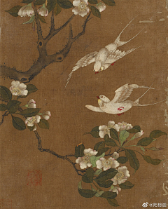 冰魇采集到工笔花鸟